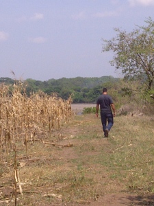 Juan Luna in a corn field